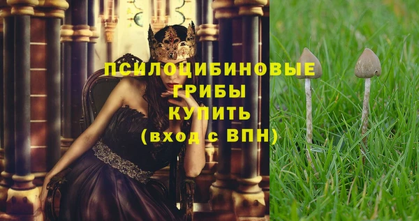 а пвп мука Алексеевка