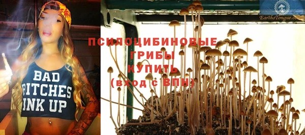 винт Алзамай
